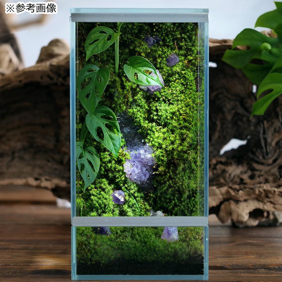 チャーム（charm） 形状お任せ グリーンフローライト（蛍石） 100g