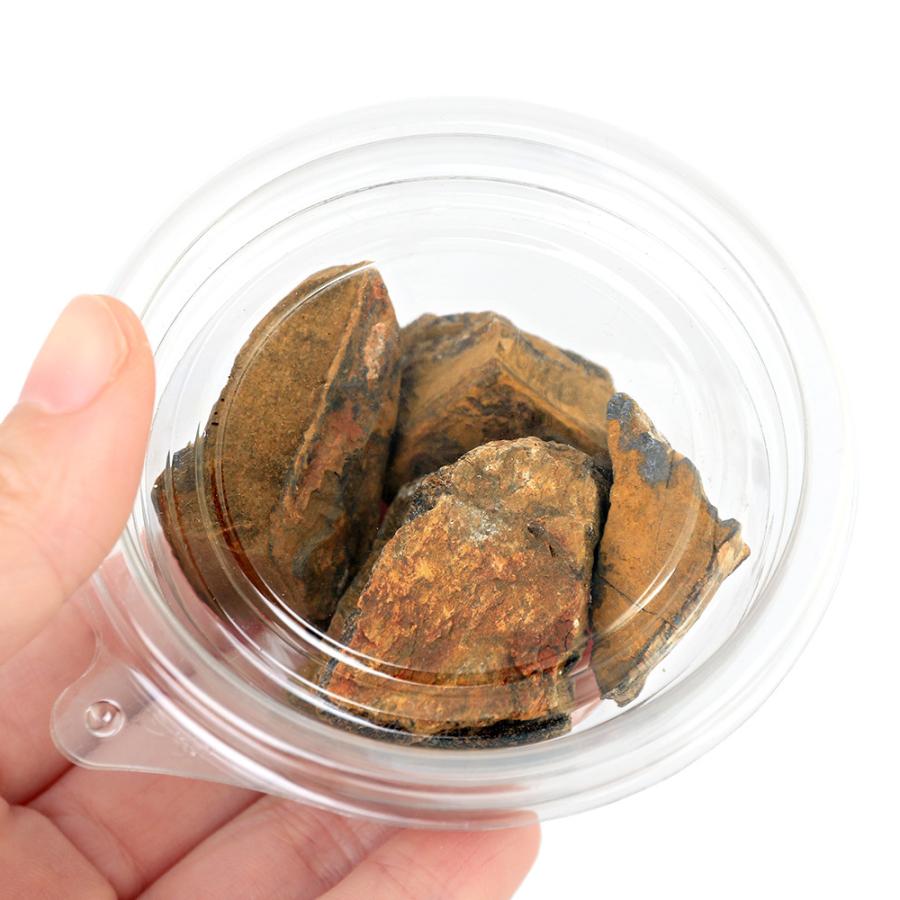 チャーム（charm） タイガーアイ 虎目石 100g 形状お任せ 鉱物