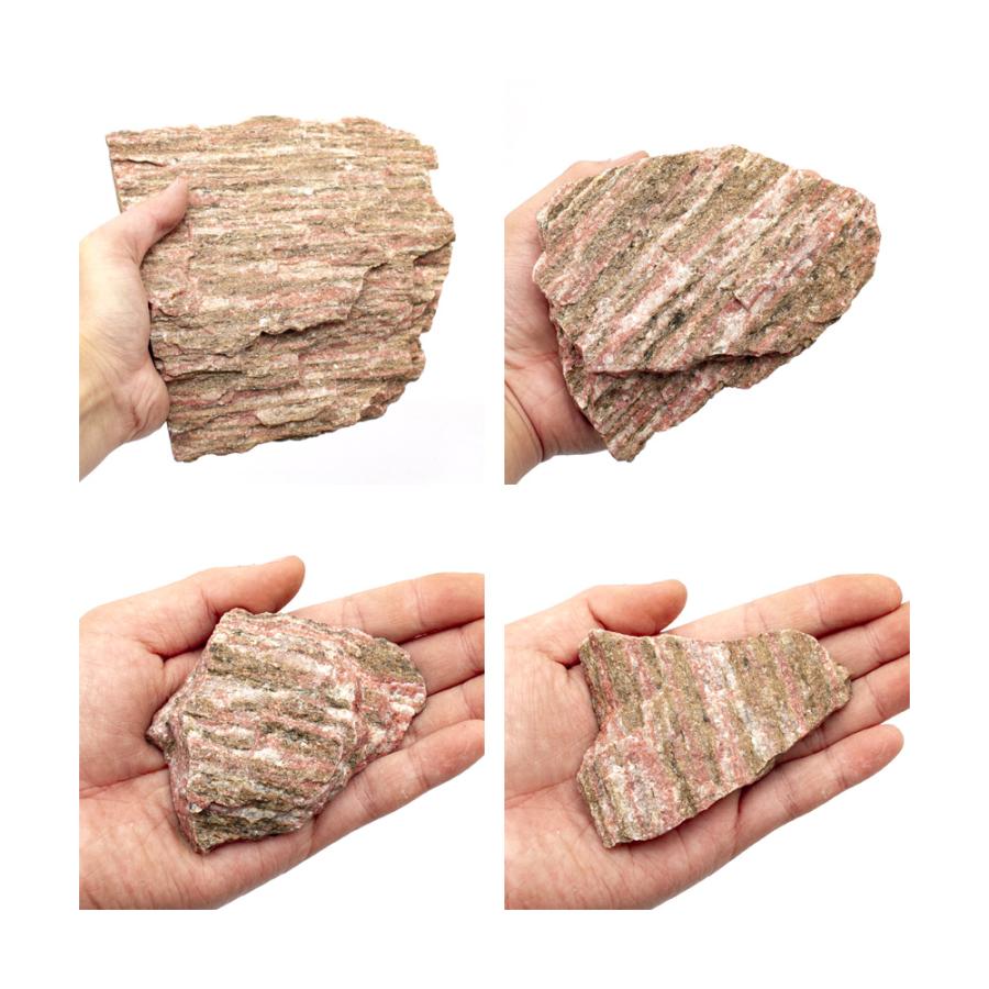 チャーム（charm） 紅隆石 10kg 約5〜30cm 60cm水槽向け