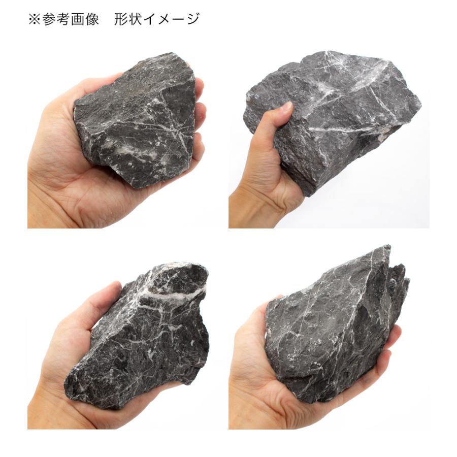 影山石 5個セット アクアリウム レイアウト用 黒系 自然石 水槽 テラリウム チャーム（charm） 影山石 10kg 約5〜30cm 60cm水槽向け