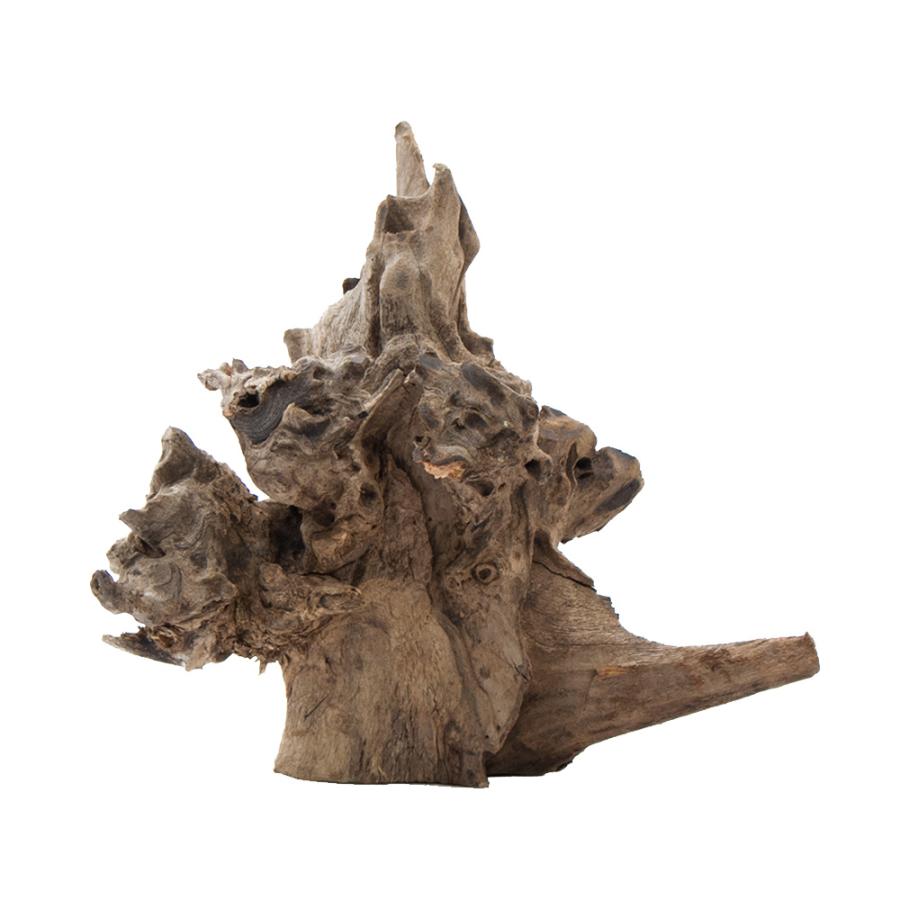 チャーム（charm） 形状お任せ 煮込み済み クラウンウッド Sサイズ 1