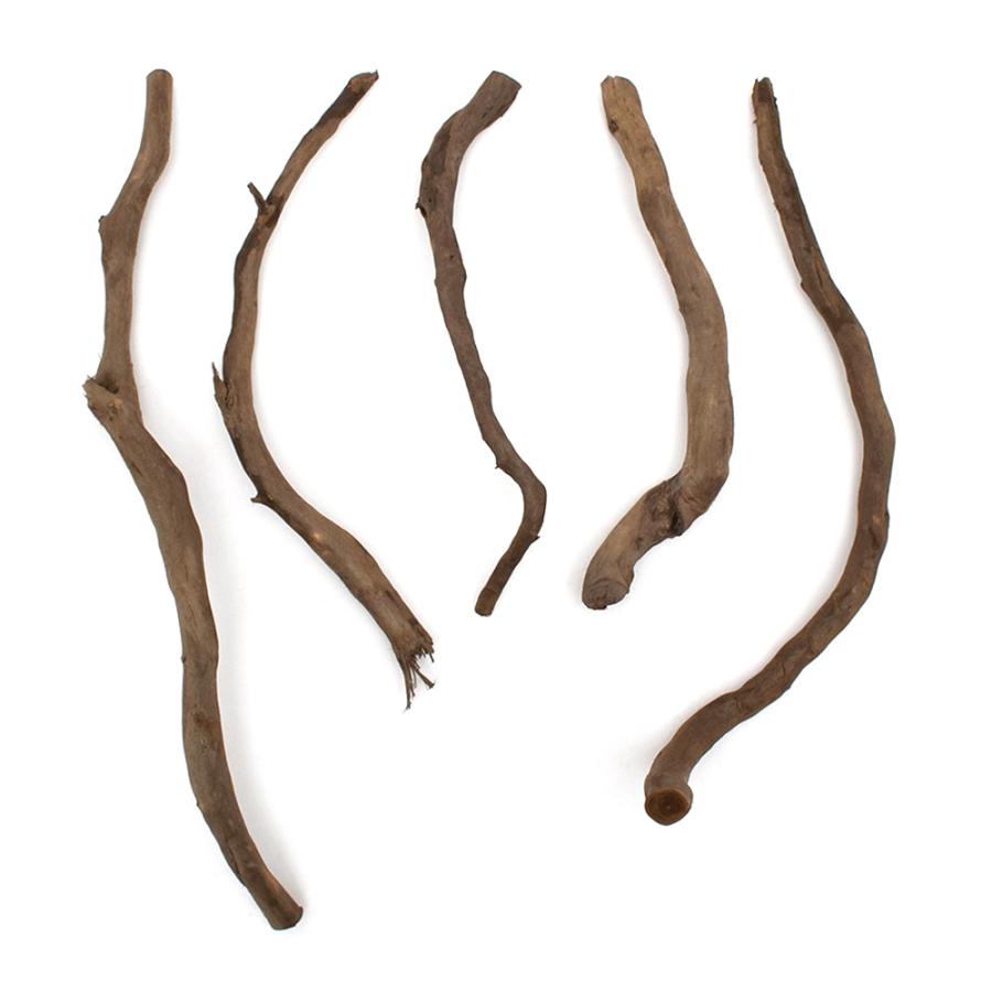 形状お任せ　煮込み済み　ルーツウッド　スティック　５本　レイアウト素材　流木 | チャーム（ペット） | 01