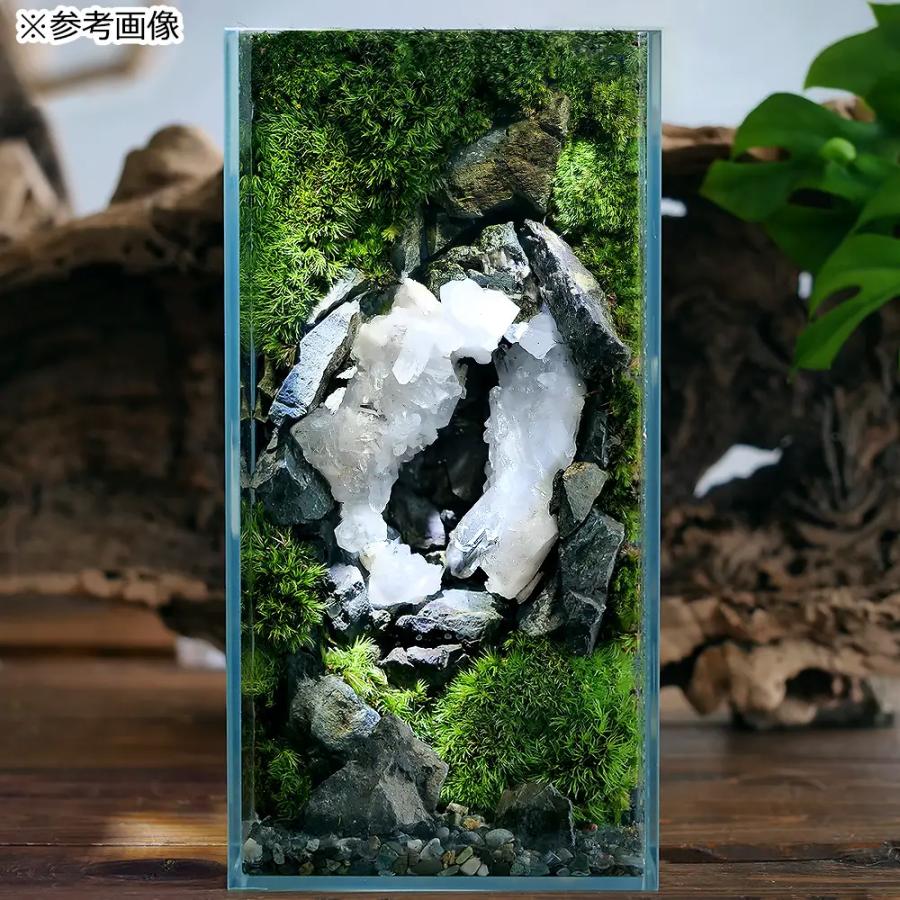 チャーム（charm） モスアゲート 苔瑪瑙 100g 形状お任せ 鉱物