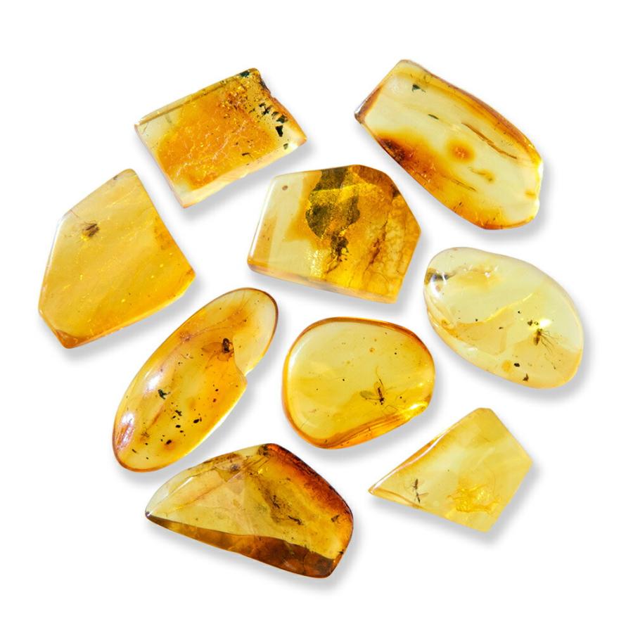 【バルト海産】虫入りコハク(虫入りアンバー) チャーム（charm） 形状お任せ バルト海産 虫入りコハク M 1個 始新