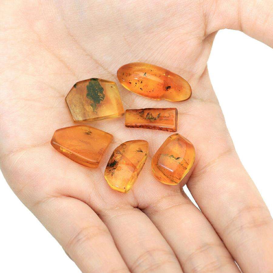チャーム（charm） バルト海産 虫入りコハク M 1個 始新世 アンバー
