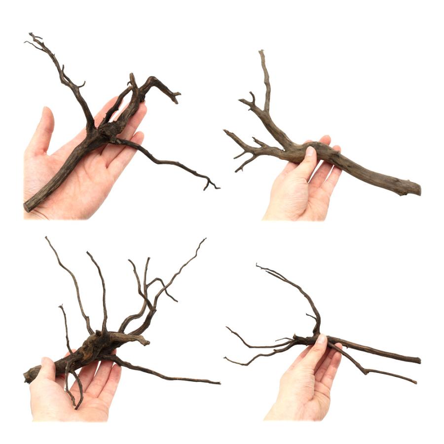 形状お任せ 煮込み済み スパークウッド Mサイズ（約20〜30cm