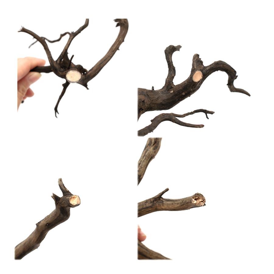 形状お任せ　煮込み済み　スパークウッド　Ｌサイズ（約３０〜４０ｃｍ）　３本　アクアリウム　レイアウト素材　流木 |  | 03