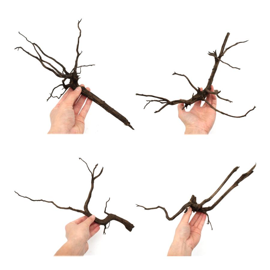 形状お任せ 煮込み済み スパークウッド Lサイズ（約30〜40cm