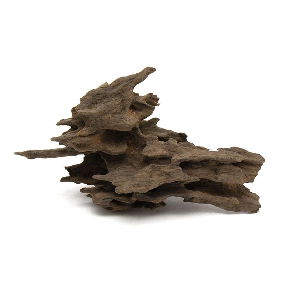 形状お任せ　煮込み済み　ハニカムウッド　Ｓサイズ（１５〜２０ｃｍ）　１本　アクアリウム　レイアウト素材　流木 | チャーム（ペット）