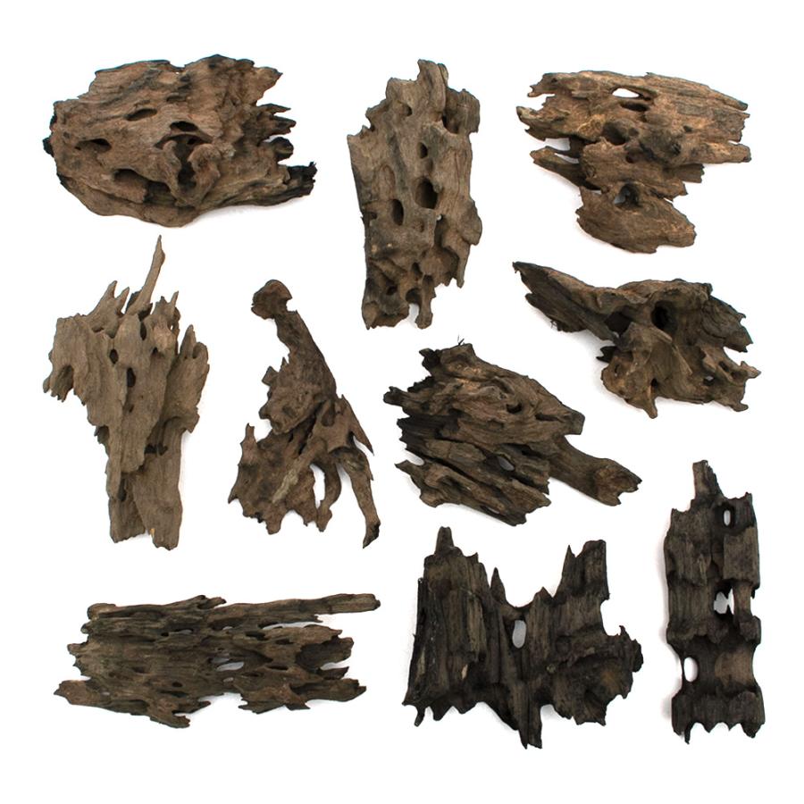 流木　チャーム　ハニカムウッド チャーム（charm） 形状お任せ 煮込み済み ハニカムウッド Sサイズ