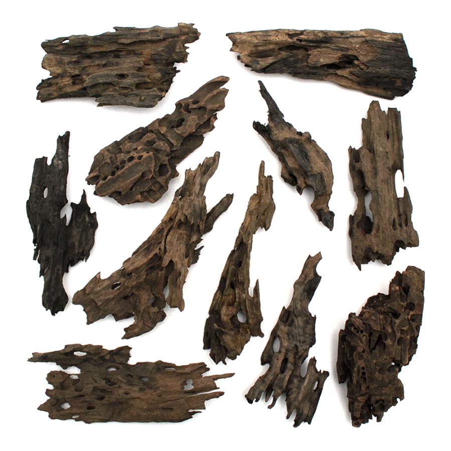 形状お任せ　煮込み済み　ハニカムウッド　Ｍサイズ（２０〜２５ｃｍ）　１本　アクアリウム　レイアウト素材　流木 | チャーム（ペット） | 01