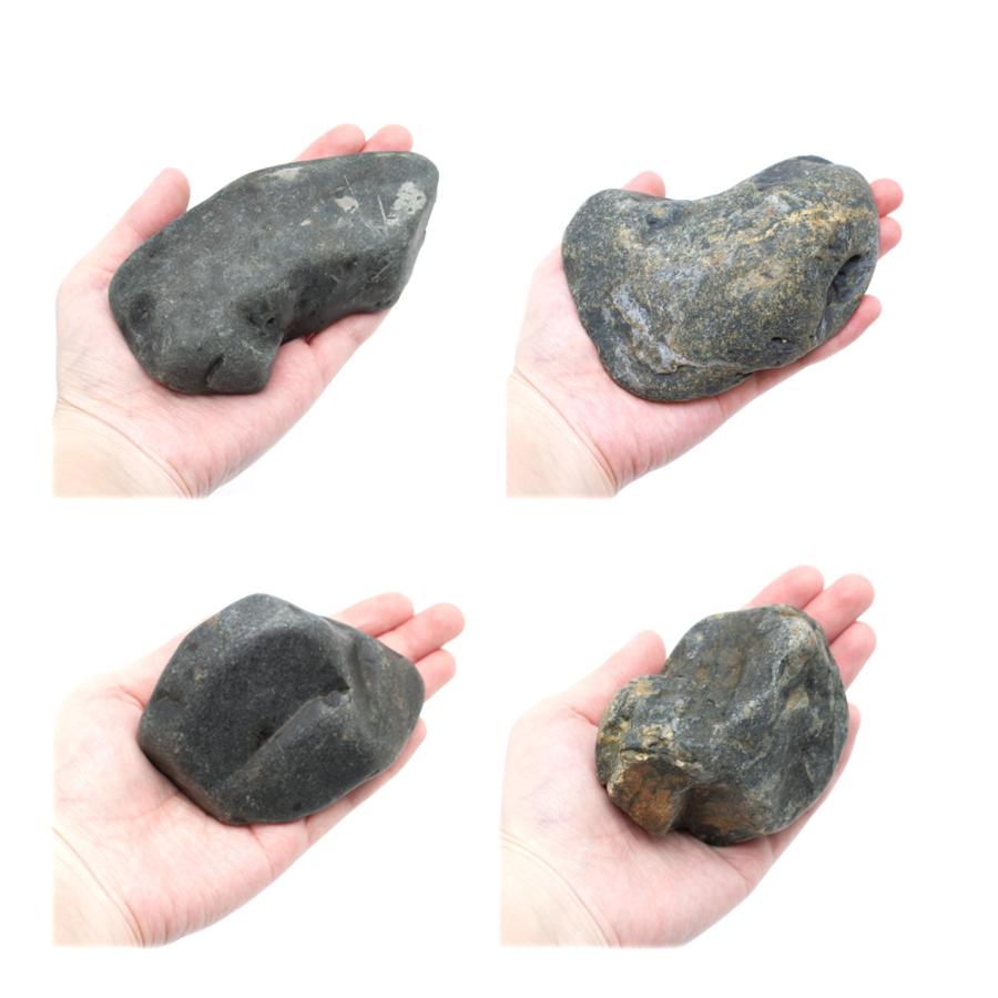 チャーム（charm） 碧海石 Sサイズ 約8〜13cm 1個 形状お任せ