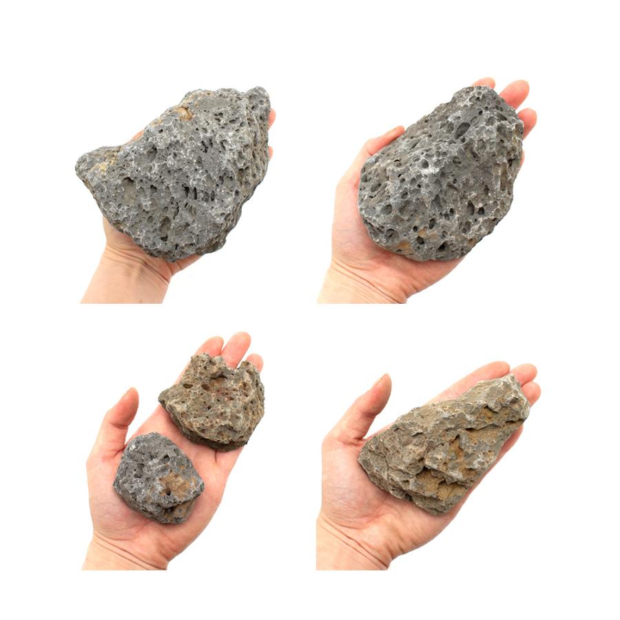 チャーム（charm） 玄武石 3kg 約5〜15cm 30cm水槽向け