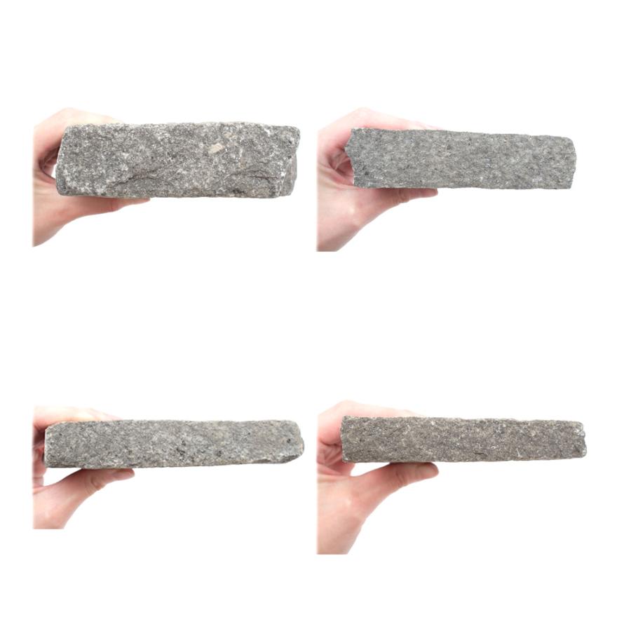 爬虫類用バスキングスポット　ウォームプレート　厚め　Ｍサイズ　約２０〜３０ｃｍ　１個　形状お任せ　爬虫類　レイアウト素材 | チャーム（ペット） | 03