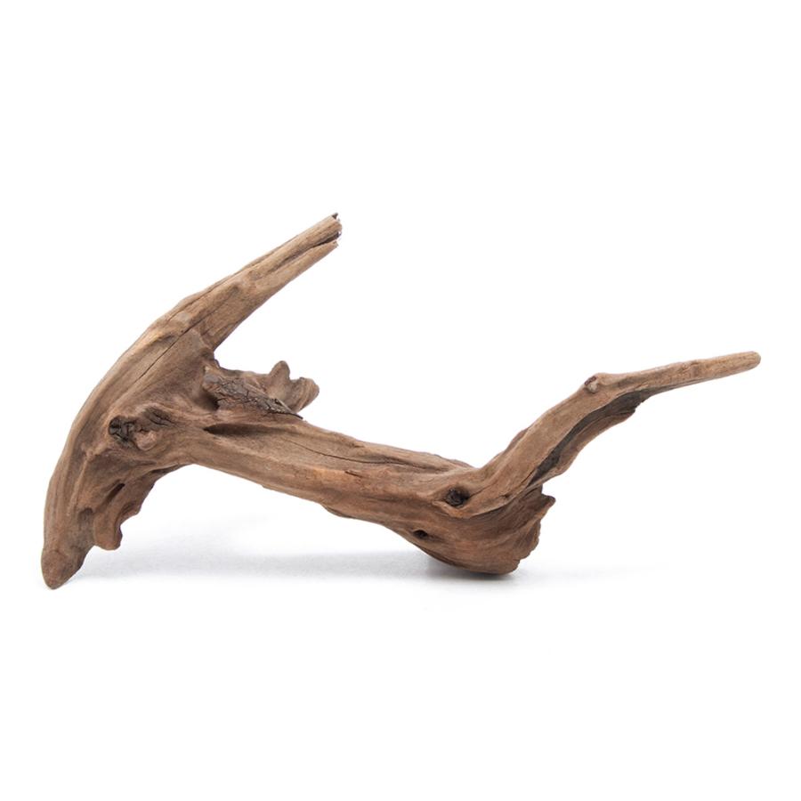 形状お任せ　煮込み済み　上質流木　雅〜みやび〜　Ｍサイズ（約２５〜３５ｃｍ）　１本　アクアリウム　レイアウト素材　流木 | チャーム（ペット）