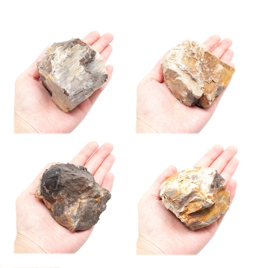 木化石 SSサイズ 約5〜8cm 3個 形状お任せ アクアリウム