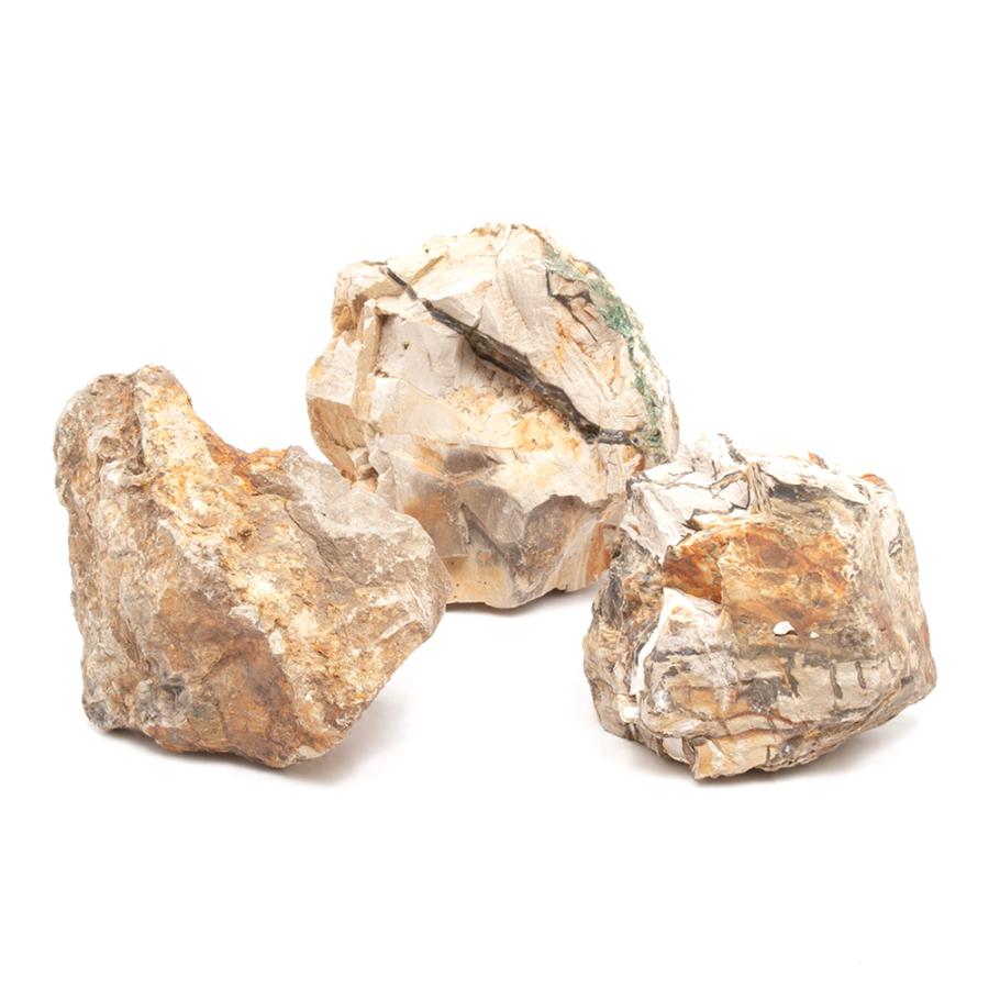 形状お任せ 木化石 Sサイズ（約8〜13cm） 3個 アクアリウム