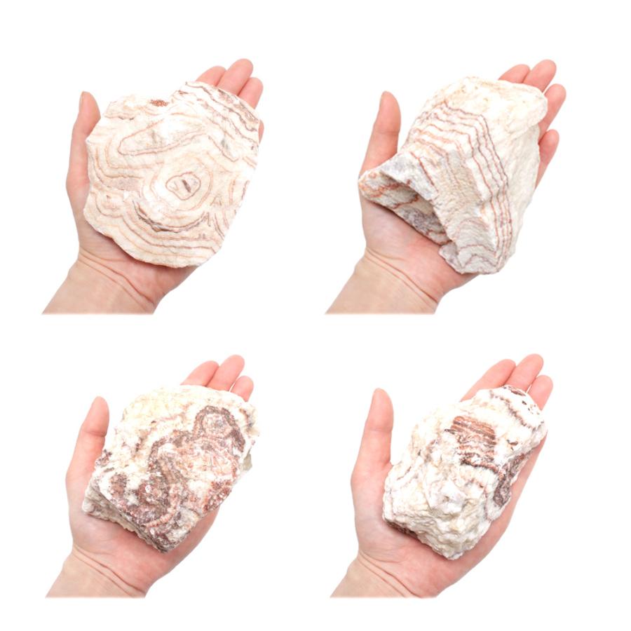 朱紋石　Ｓサイズ　約８〜１３ｃｍ　１個　形状お任せ　アクアリウム　レイアウト素材 |  | 02