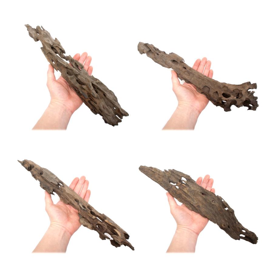 煮込み済み ちょい足し ハニカムウッド XLサイズ 30〜40cm 3