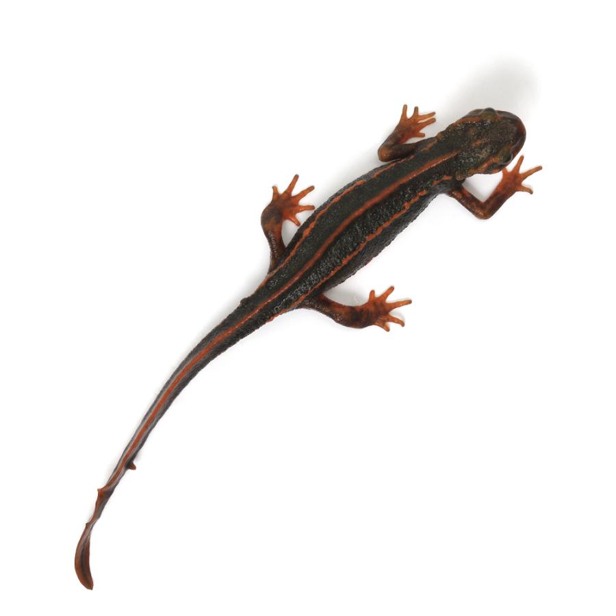 イモリ？どじょう？ 文鎮 イモリ？どじょう？ 文鎮 イモリ？どじょう？ 文鎮 ドジョウ