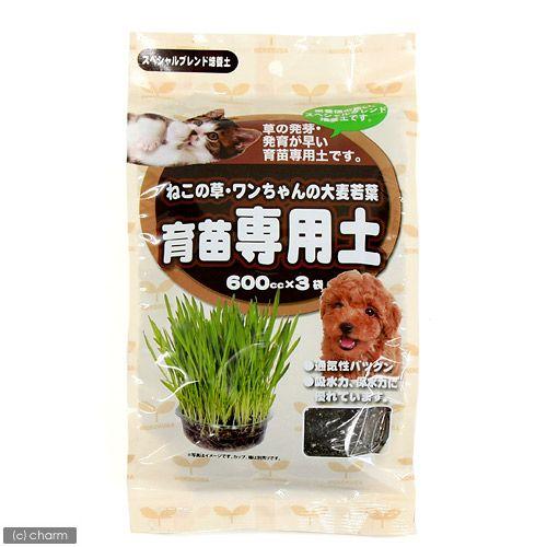 モデル着用 注目アイテム アラタ ねこ草 ワンちゃんの大麦若葉育苗専用土