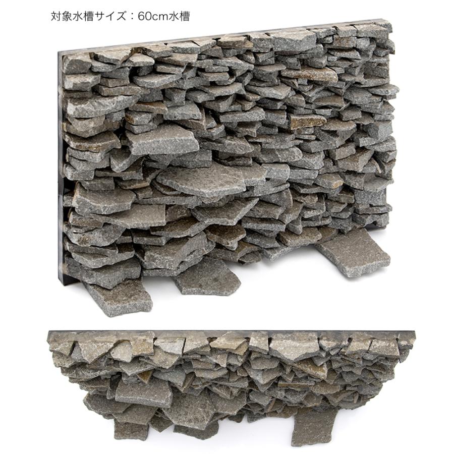 送料無料 一点物 ウォールロック シャープ ６０ｃｍ水槽用 ８５００１１ 沖縄別途送料 柔らかい Iniciatupyme Cl