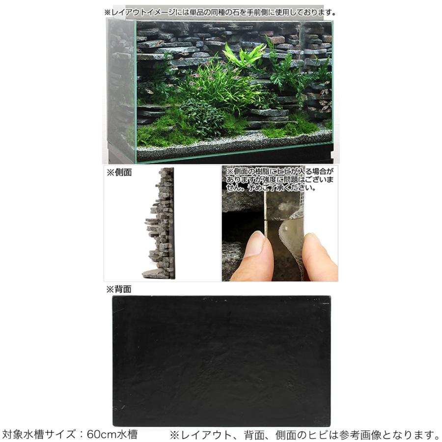 内祝い 一点物 ウォールロック シャープ ６０ｃｍ水槽用 ８５００１２ 沖縄別途送料 高質で安価 Iniciatupyme Cl