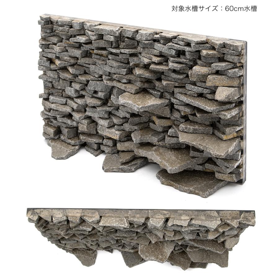 全ての 一点物 ウォールロック シャープ ６０ｃｍ水槽用 ８５００２５ 沖縄別途送料 お気にいる Www Muslimaidusa Org