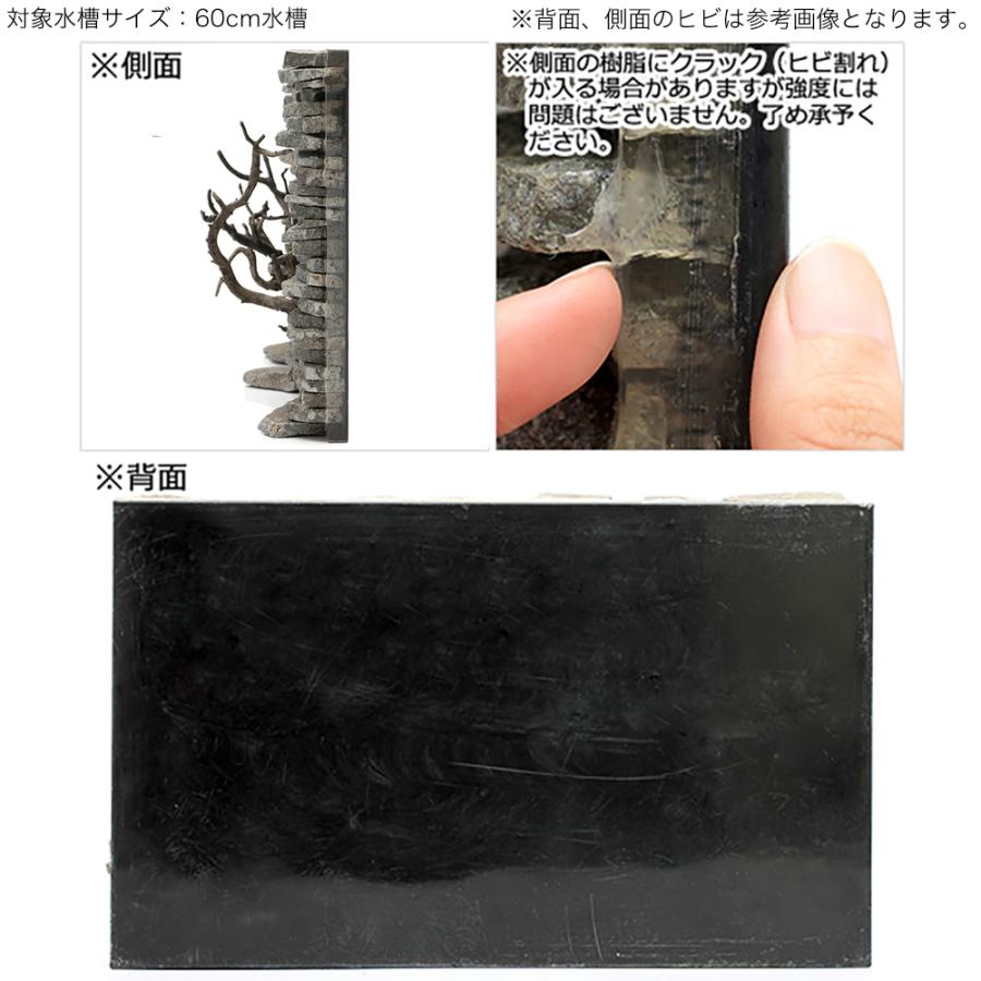 数量は多 一点物 ウォールロック シャープ ｖｅｒ 枝状流木 ６０ｃｍ水槽用 ８５００３０ 沖縄別途送料 高い素材 Www Muslimaidusa Org