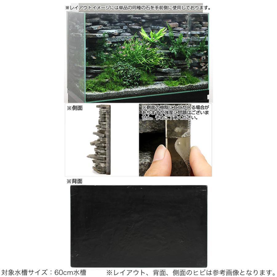 数量限定 特売 一点物 ウォールロック シャープ ６０ｃｍ水槽用 ８５００３１ 沖縄別途送料 注目の Www Muslimaidusa Org
