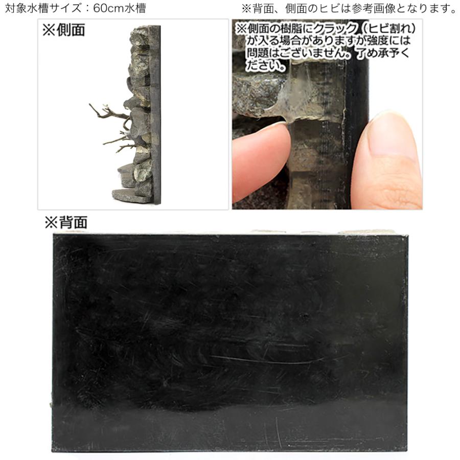 完売 一点物 ウォールロック ナチュラル ｖｅｒ 枝状流木 ６０ｃｍ水槽用 ８５００３５ 沖縄別途送料 在庫一掃 Www Amalgamatedplantations Co In