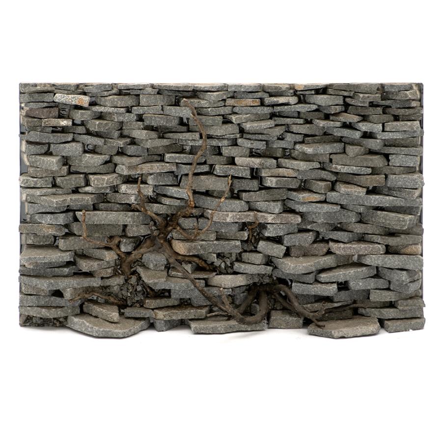 高く 売れる 一点物 ウォールロック シャープ ｖｅｒ 枝状流木 ６０ｃｍ水槽用 ８５００３６ 沖縄別途送料 業務用卸値 Www Institutomigueldecervantes Edu Mx