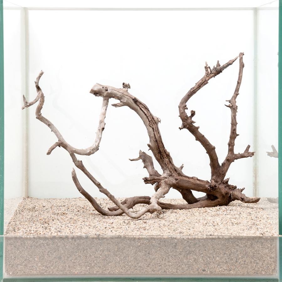 一点物 極上流木単体 ３０ｃｍ水槽用 ８５００７６ チャーム Charm Paypayモール店 通販 Paypayモール