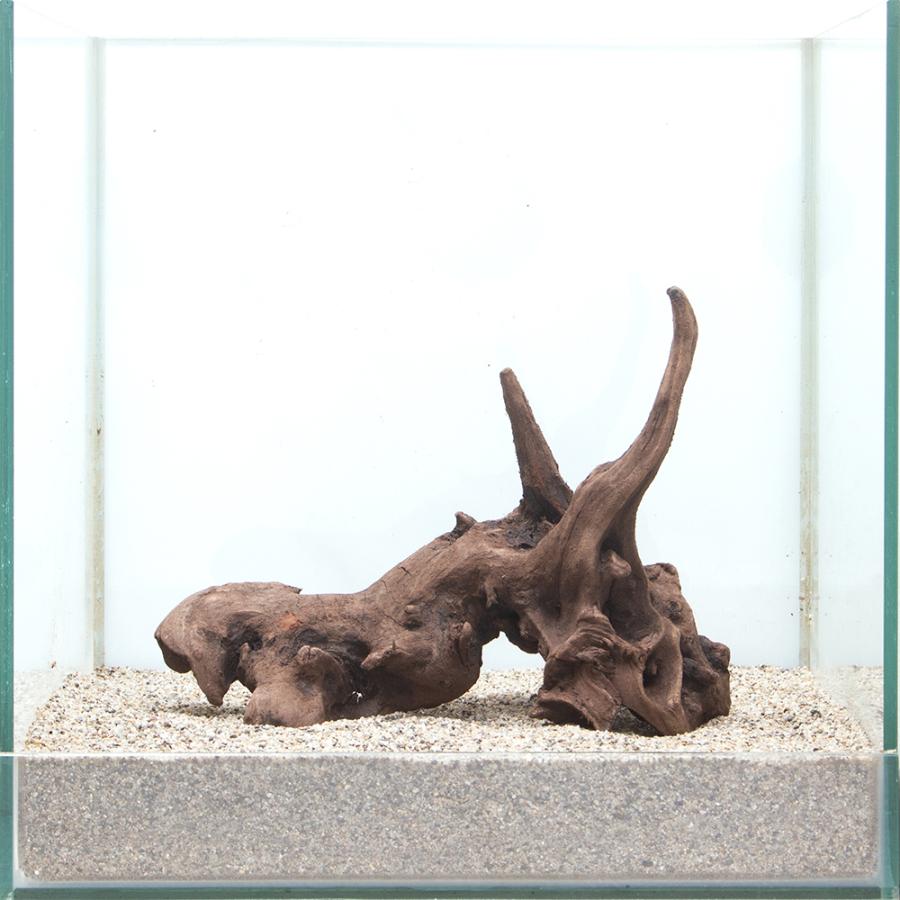 一点物 上質流木 雅 ３０ｃｍ水槽用 ８５０２６１ チャーム Charm Paypayモール店 通販 Paypayモール