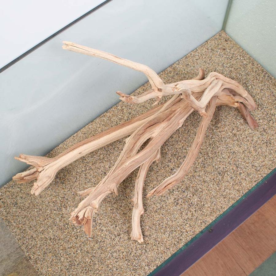 きない 一点物 チャーム Charm Paypayモール店 通販 Paypayモール 上質流木 禅