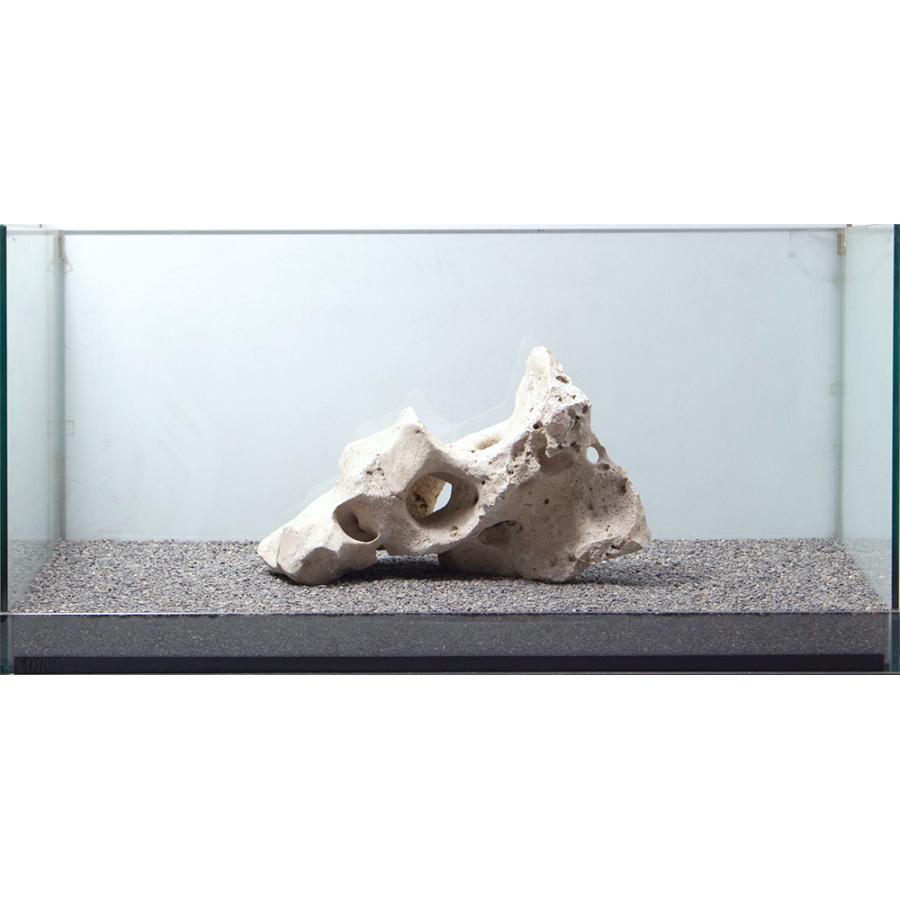 一点物 レイアウト用品 化石サンゴ 化石サンゴ 親石 大型水槽用 水槽用流木