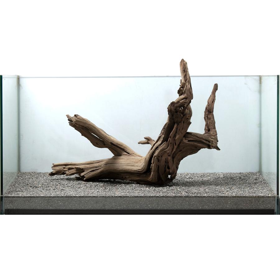 正規品 送料無料 一点物 ゴーストウッド 大型水槽用 ８５１３２４ 沖縄別途送料 安い特売 Acelerando Com Ec