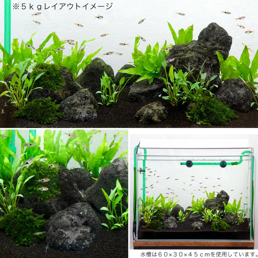 形状お任せ 浅間溶岩石 サイズミックス(約5〜20cm) 5kg 45cm水槽向け アクアリウム テラリウム レイアウト素材 :855003:チャーム charm ヤフー店 通販 飾り石 サイズミックス 片岩
