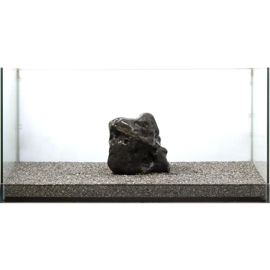 チャーム（charm） 一点物 碧海石 親石 大型水槽用 857669