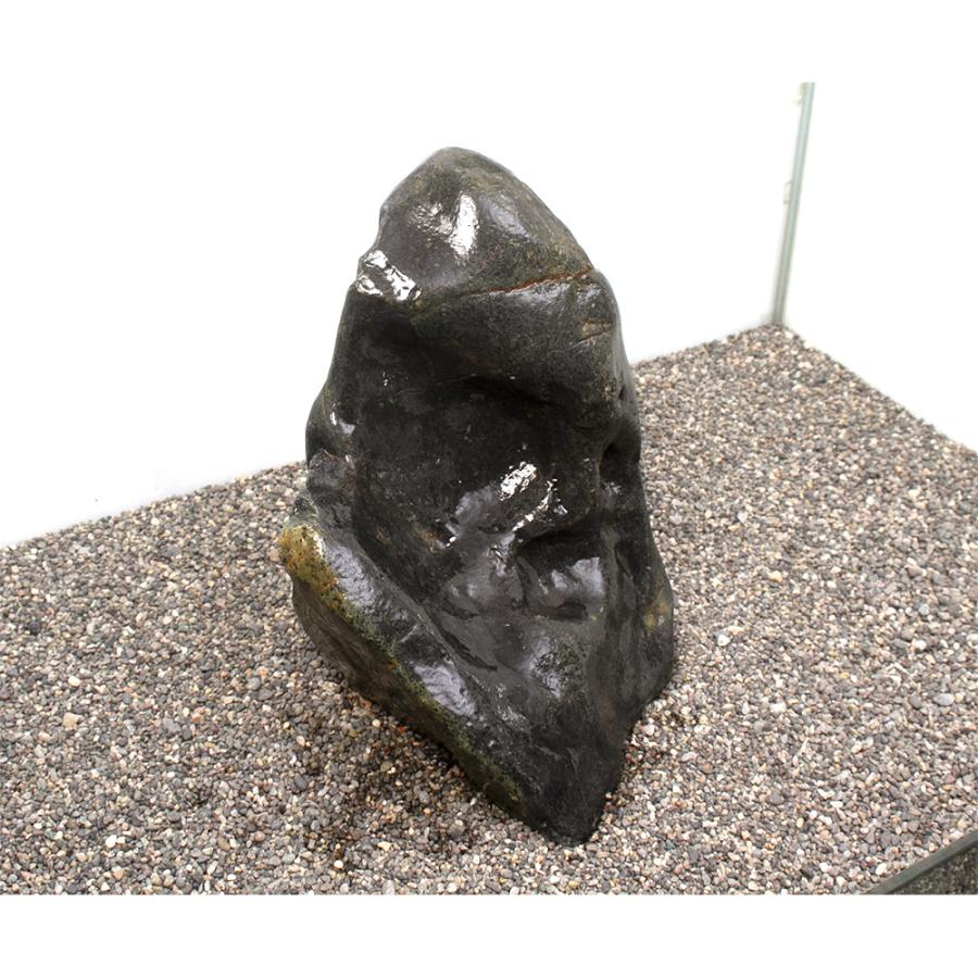 チャーム（charm） 一点物 碧海石 親石 大型水槽用 857672