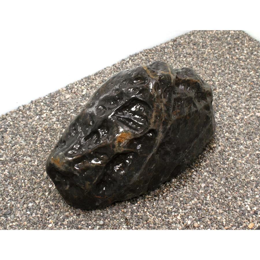 チャーム（charm） 一点物 碧海石 親石 大型水槽用 857679