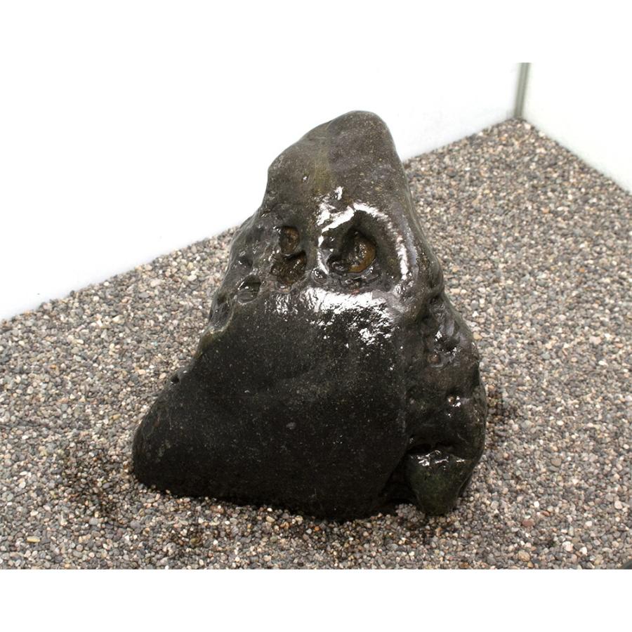 チャーム（charm） 一点物 碧海石 親石 大型水槽用 857680
