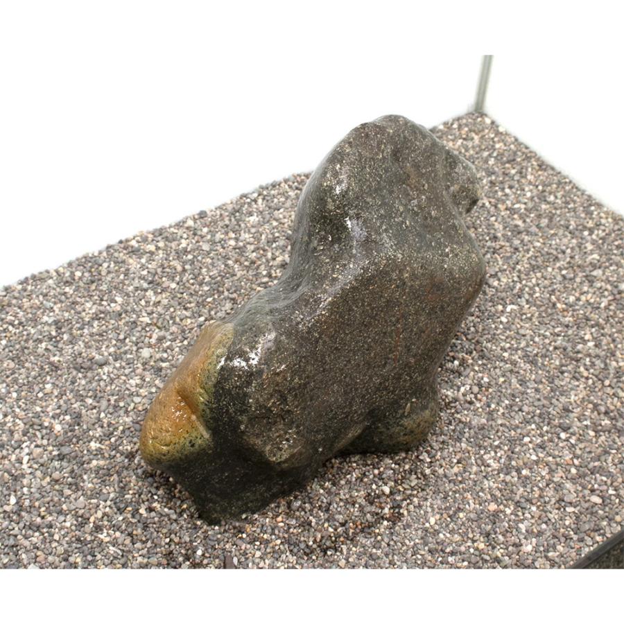 チャーム（charm） 一点物 碧海石 親石 大型水槽用 857686