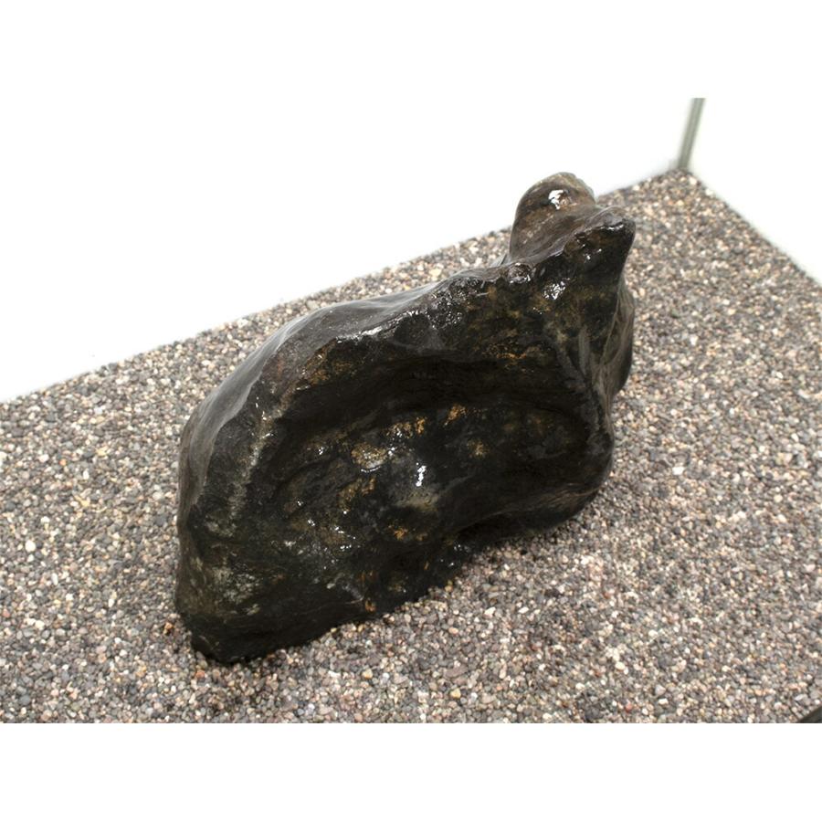 チャーム 碧海石 親石 90cm～120cm親石 チャーム（charm） 一点物 碧海石 親石 大型水槽用 857688