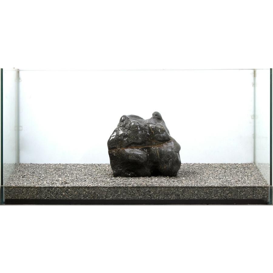 八海石　親石 チャーム（charm） 一点物 碧海石 親石 大型水槽用 857689