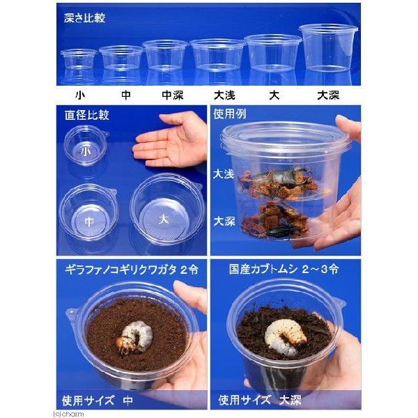 プリンカップ　大深　約６８０ｍｌ×３０個　（ＤＴ１２９−７００ＭＴＣ）　カブトムシ　クワガタ　卵　幼虫　繁殖｜chanet｜03