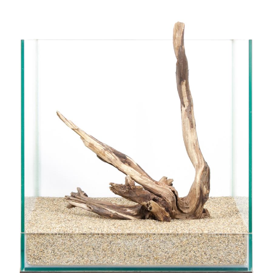 一点物 ディアーホーンウッド 30cm水槽用 859873 : チャーム