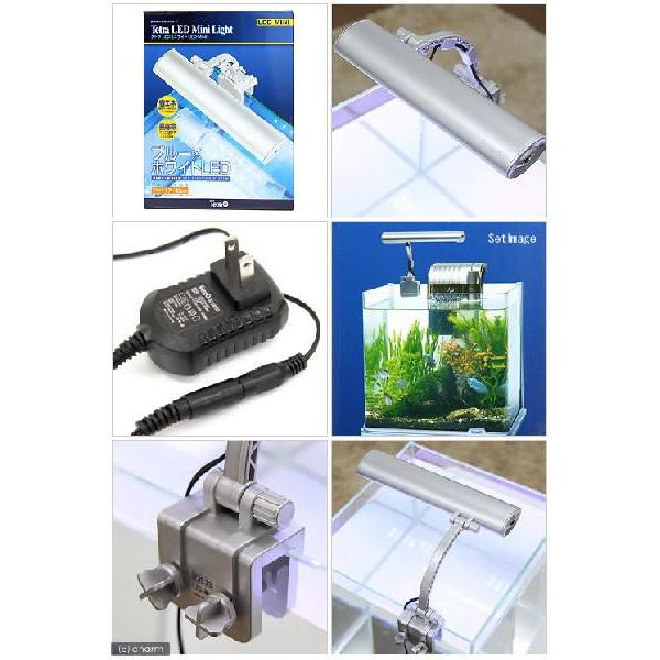 テトラ ｌｅｄミニライト ｌｅｄ ｍｉｎｉ 小型水槽用照明 水草 激安 激安特価 送料無料 熱帯魚 アクアリウムライト