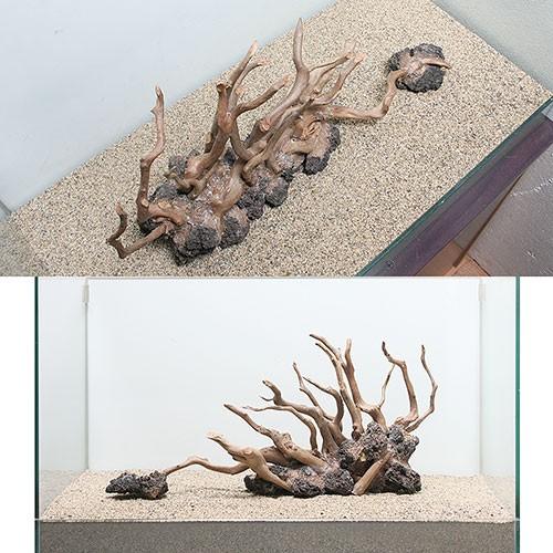 国産 一点物 ハードスケープウッド ６０ｃｍ水槽用 ８６２５２１ 沖縄別途送料 魅力的な Www Muslimaidusa Org