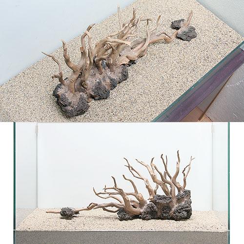 超人気の 一点物 ハードスケープウッド ６０ｃｍ水槽用 ８６２５２４ 沖縄別途送料 値引きする Www Technet 21 Org